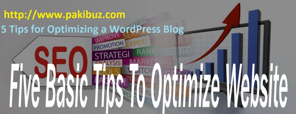 5 Tips for Optimizing a WordPress Blog